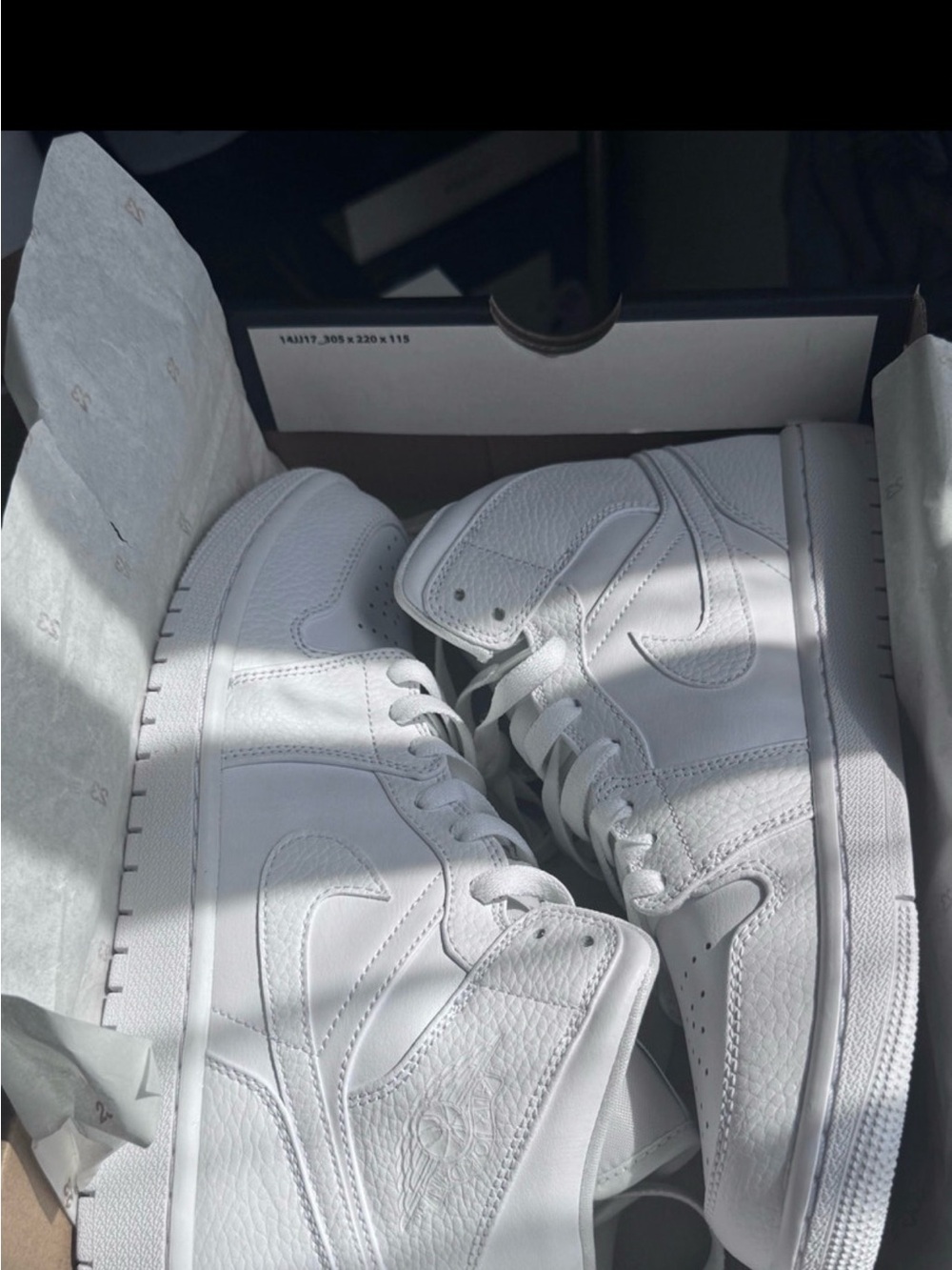 Air Jordan 1 mid